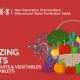Sanitizing Tablets For Fresh Fruits & Vegetables - Chlorine Tablets